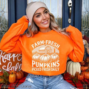 Farm fresh pumpkins